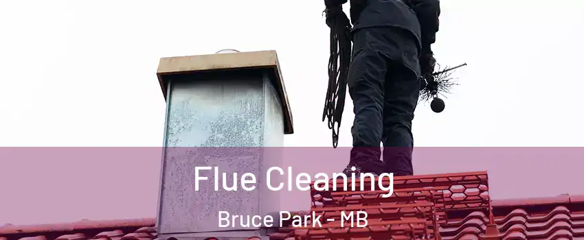  Flue Cleaning Bruce Park - MB