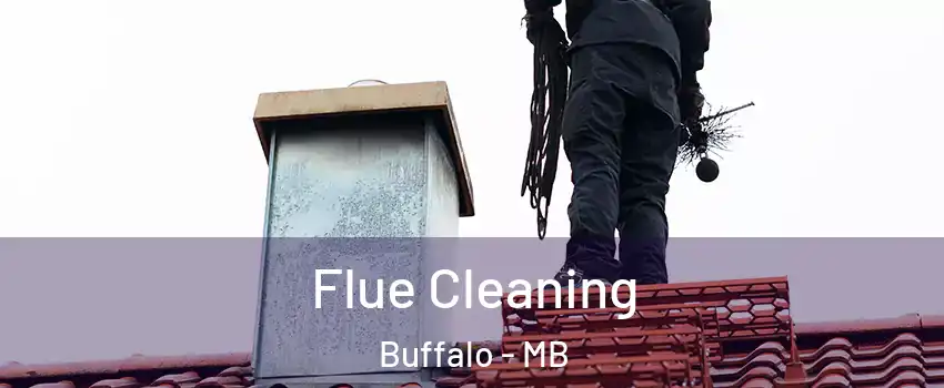  Flue Cleaning Buffalo - MB