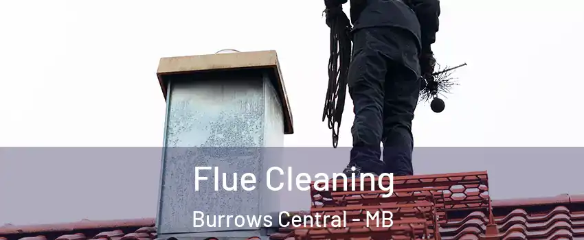  Flue Cleaning Burrows Central - MB