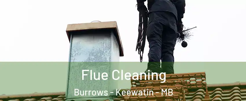  Flue Cleaning Burrows - Keewatin - MB