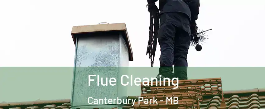  Flue Cleaning Canterbury Park - MB