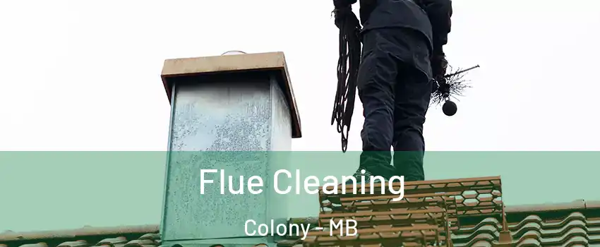  Flue Cleaning Colony - MB