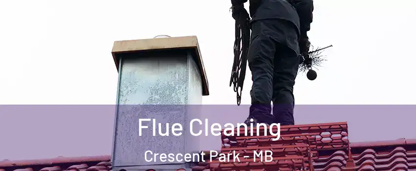  Flue Cleaning Crescent Park - MB