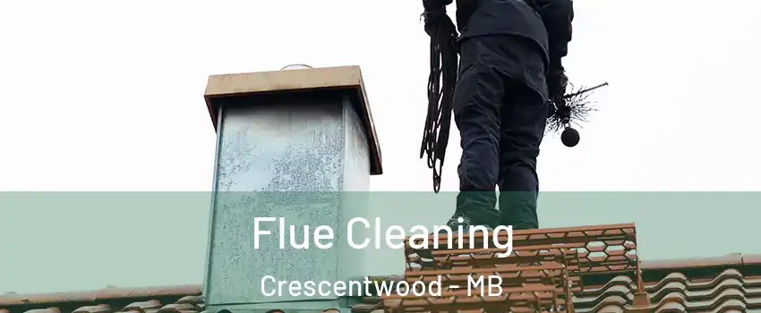  Flue Cleaning Crescentwood - MB
