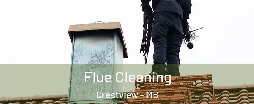  Flue Cleaning Crestview - MB