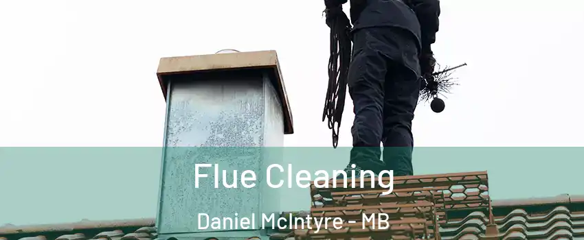  Flue Cleaning Daniel McIntyre - MB