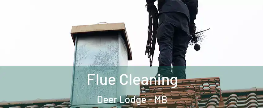  Flue Cleaning Deer Lodge - MB