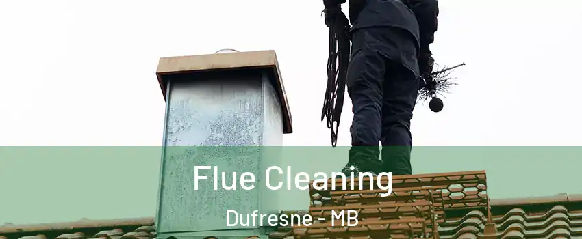  Flue Cleaning Dufresne - MB
