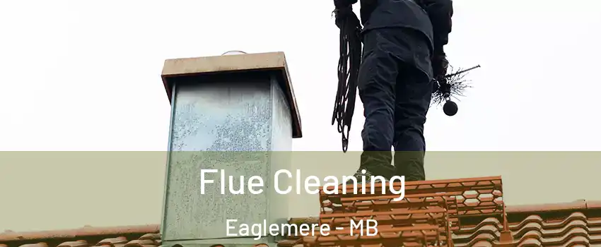  Flue Cleaning Eaglemere - MB