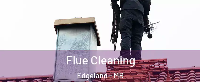  Flue Cleaning Edgeland - MB