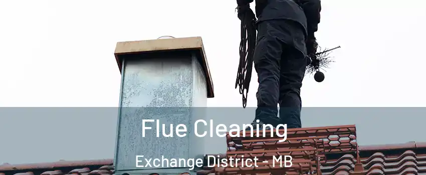  Flue Cleaning Exchange District - MB