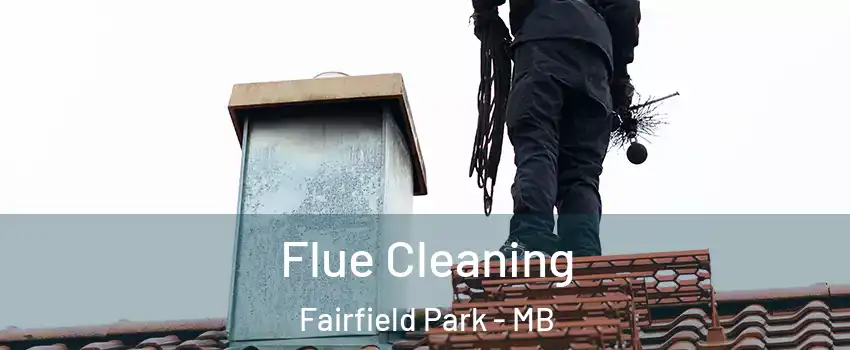  Flue Cleaning Fairfield Park - MB