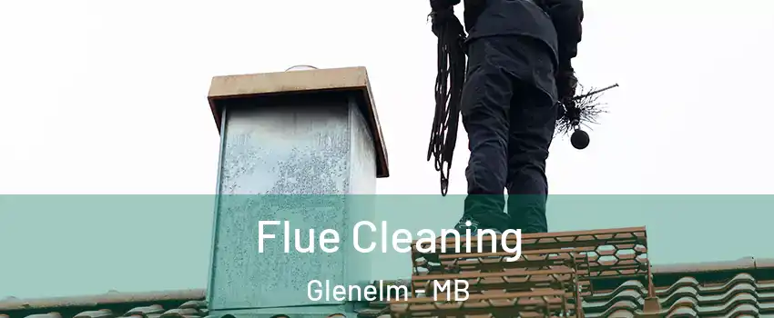  Flue Cleaning Glenelm - MB
