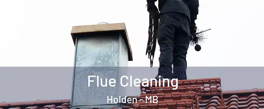  Flue Cleaning Holden - MB