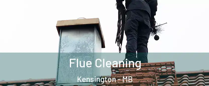  Flue Cleaning Kensington - MB
