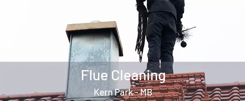  Flue Cleaning Kern Park - MB