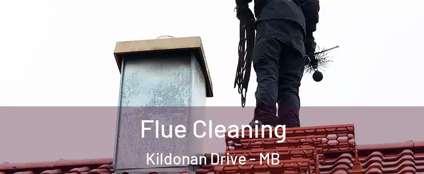  Flue Cleaning Kildonan Drive - MB