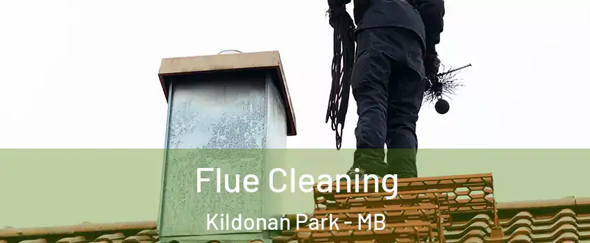  Flue Cleaning Kildonan Park - MB