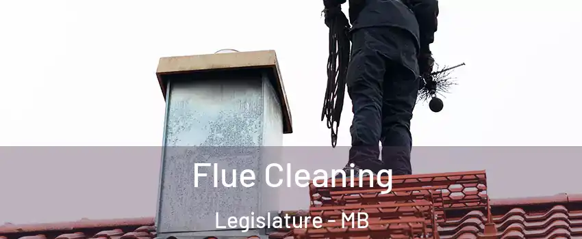  Flue Cleaning Legislature - MB
