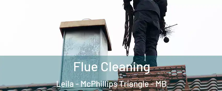 Flue Cleaning Leila - McPhillips Triangle - MB
