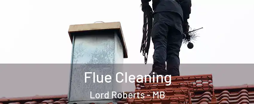  Flue Cleaning Lord Roberts - MB
