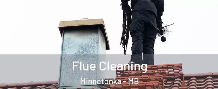  Flue Cleaning Minnetonka - MB