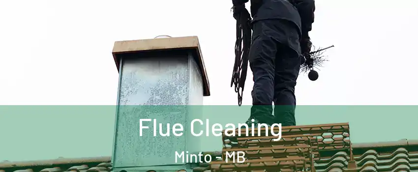  Flue Cleaning Minto - MB