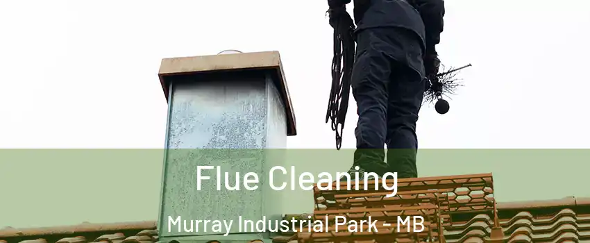  Flue Cleaning Murray Industrial Park - MB