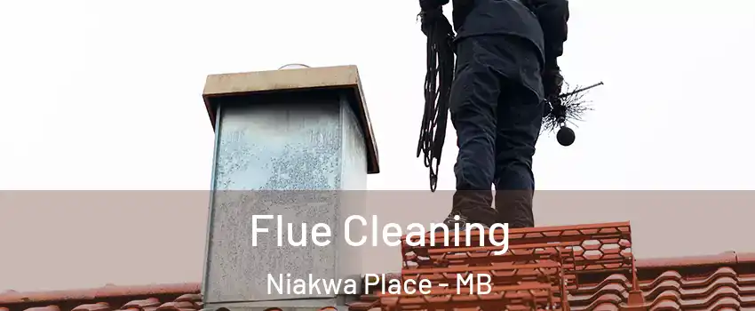  Flue Cleaning Niakwa Place - MB