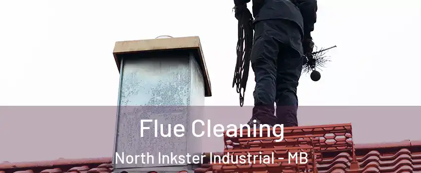  Flue Cleaning North Inkster Industrial - MB