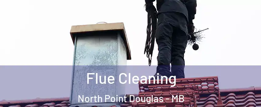  Flue Cleaning North Point Douglas - MB