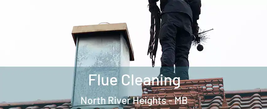  Flue Cleaning North River Heights - MB