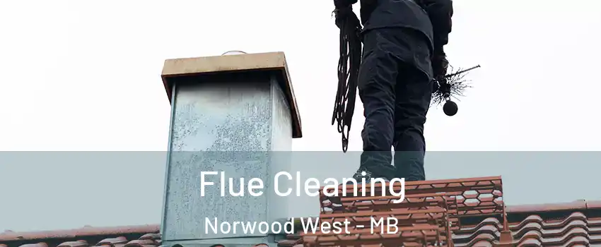  Flue Cleaning Norwood West - MB