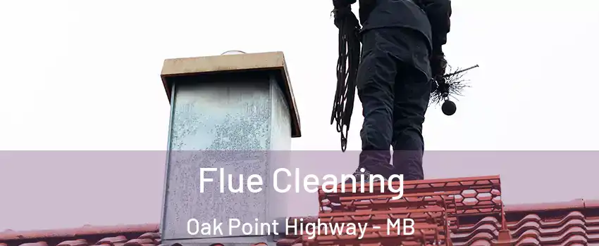  Flue Cleaning Oak Point Highway - MB