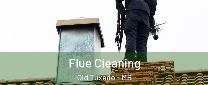  Flue Cleaning Old Tuxedo - MB