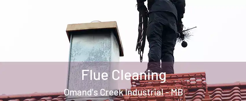  Flue Cleaning Omand's Creek Industrial - MB