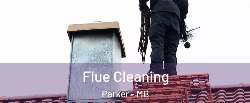  Flue Cleaning Parker - MB