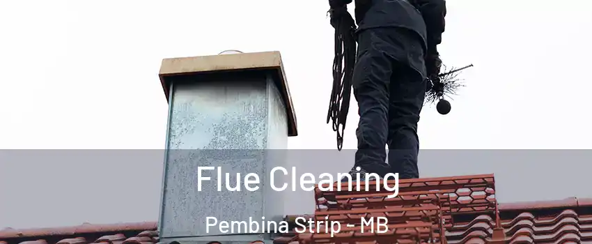  Flue Cleaning Pembina Strip - MB