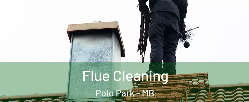  Flue Cleaning Polo Park - MB