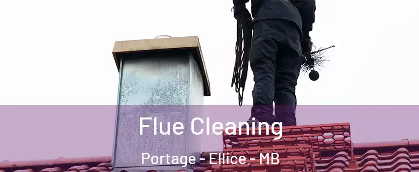  Flue Cleaning Portage - Ellice - MB