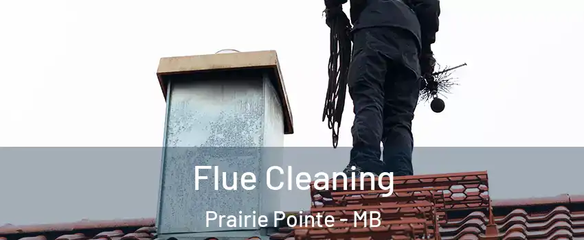  Flue Cleaning Prairie Pointe - MB