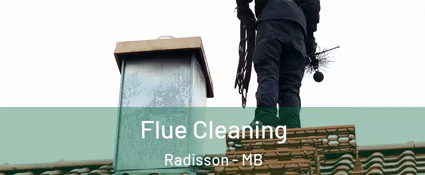  Flue Cleaning Radisson - MB