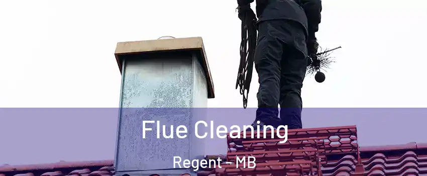  Flue Cleaning Regent - MB