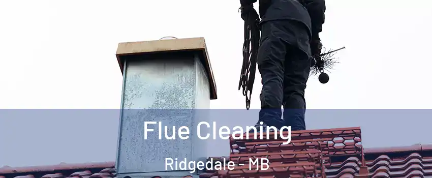  Flue Cleaning Ridgedale - MB