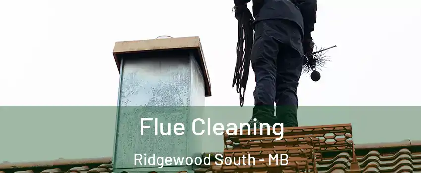  Flue Cleaning Ridgewood South - MB