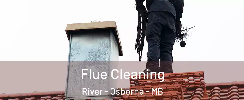  Flue Cleaning River - Osborne - MB