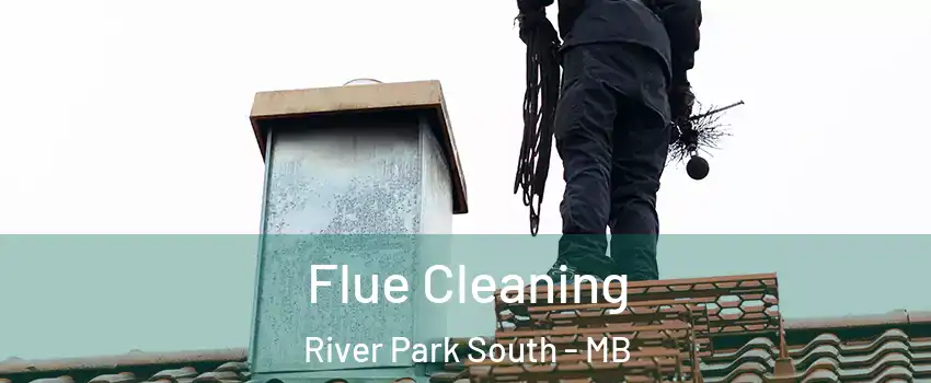  Flue Cleaning River Park South - MB