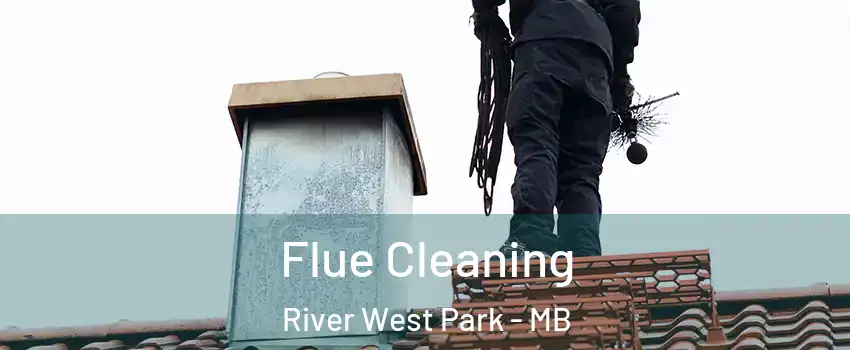  Flue Cleaning River West Park - MB