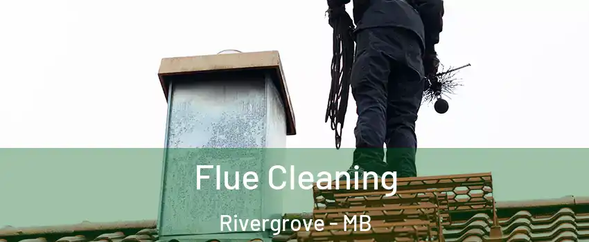  Flue Cleaning Rivergrove - MB
