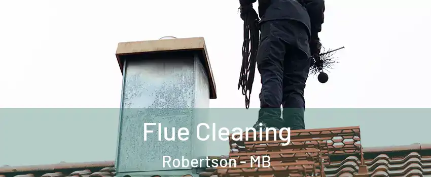  Flue Cleaning Robertson - MB